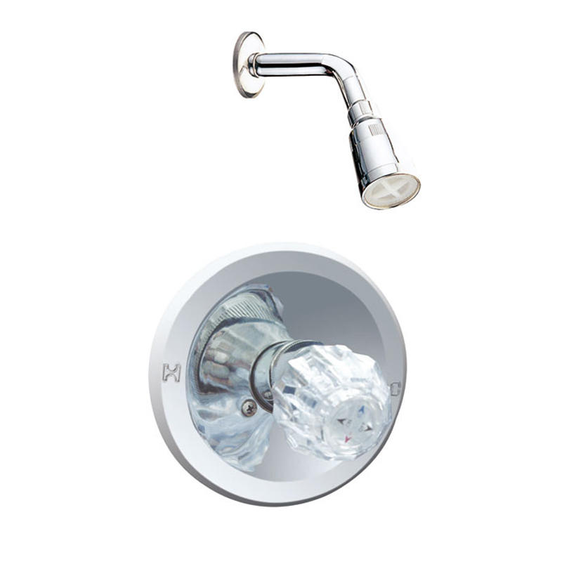 Grifo de ducha de baño con mango de acrílico con cabezal de ducha Placa cromada F9604